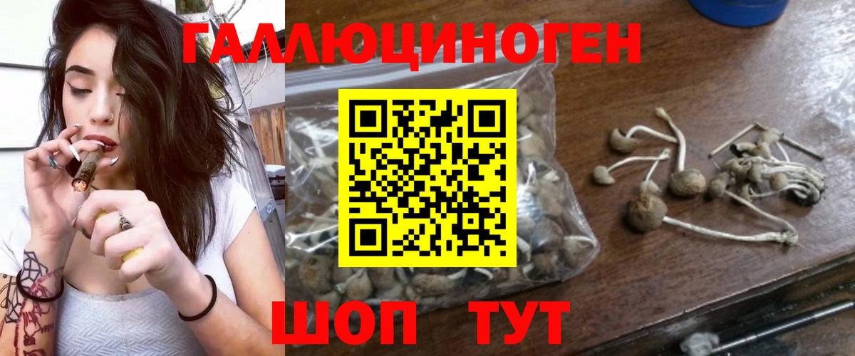 Воскресенск  Галлюциногенные грибы мицелий  Вход с VPN 